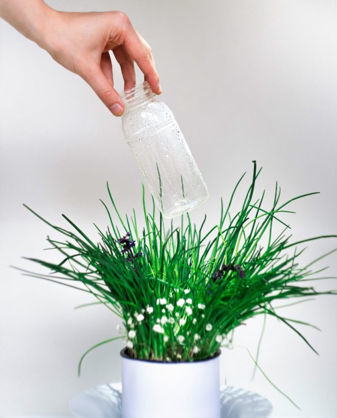 Biodegradable refills